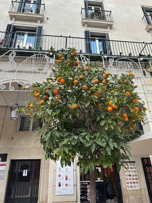 Appartement Sol De Mar, La Mata à La Mata  Extérieur photo